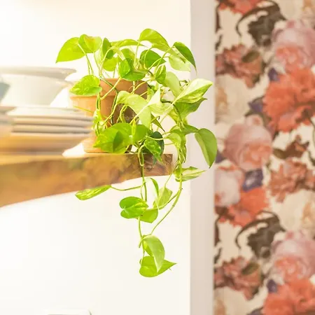 Apartment Beautyfoodlab